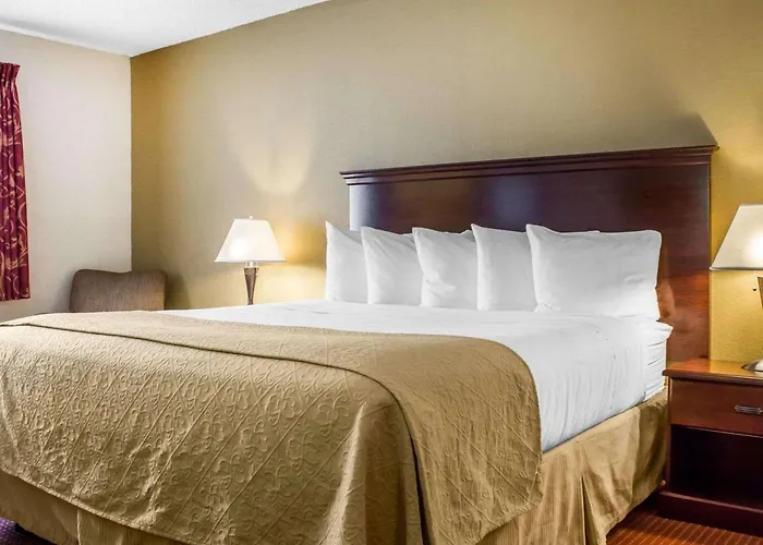 Hotel Americana 4*