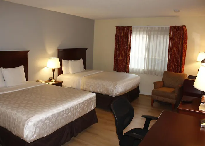 Hotel Americana 4*